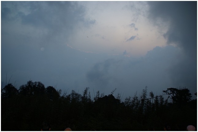 darjeeling%20(2).jpg