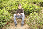 pu_david_v7007004.jpg